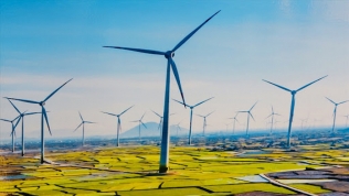 Quy hoạch điện VIII: Tương lai các dự án điện gió chờ bổ sung quy hoạch sẽ ra sao?