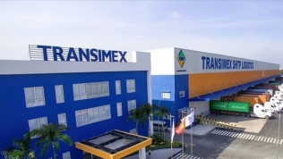 Prosper Logistics 'thế chân' SSI trở thành cổ đông lớn tại Transimex