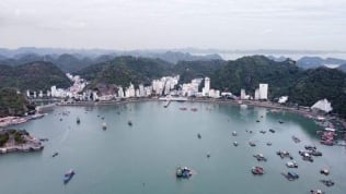 Hải Phòng: Tìm chủ đầu tư làm Khu du lịch hơn 3.000 tỷ tại Đảo Cát Bà
