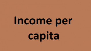 Thu nhập bình quân đầu người là gì? Sự khác nhau giữa GDP/người và thu nhập bình quân đầu người