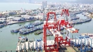 Sẽ giao Vinalines thu hồi 75,01% cổ phần của Hợp Thành tại cảng Quy Nhơn