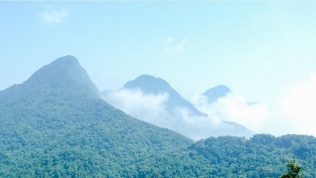 Chuyên gia lên tiếng về việc 'xén' đất Vườn quốc gia Tam Đảo làm dự án