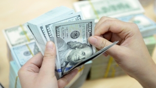 Tỷ giá ngoại tệ hôm nay (20/11): USD lao dốc
