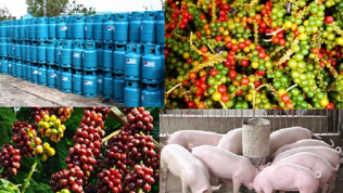 Giá cả nông sản, thực phẩm ngày 3/4: Nhiều mặt hàng xuất khẩu chủ lực ‘nằm im’