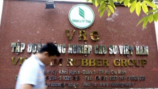IPO ‘ế ẩm’, Tập đoàn Cao su Việt Nam dự kiến mở cửa cho nhà đầu tư ngoại