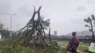 Bão Noru càn quét các tỉnh miền Trung, gây thiệt hại lớn