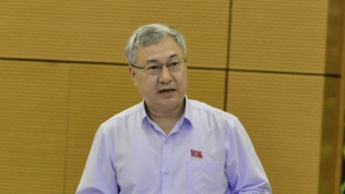 ĐBQH Trần Văn Lâm: 'Ngân hàng báo lãi lớn vẫn được giảm thuế VAT là vô lý'