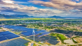 Nhà đầu tư năng lượng tái tạo ‘chấp nhận’ mức giá bằng 50% khung giá phát điện của Bộ Công Thương