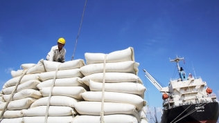 ‘Được mùa, được giá, Việt Nam đang có thời cơ vàng để xuất khẩu gạo’