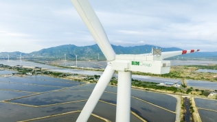 Bim Group nhận khoản vay 107 triệu USD từ ADB để phát triển năng lượng sạch