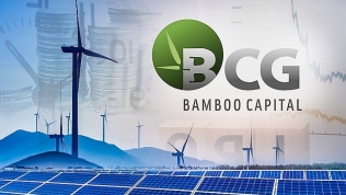Bamboo Capital: Doanh thu năm 2022 đạt hơn 4.531 tỷ, lợi nhuận sau thuế hơn 546 tỷ đồng