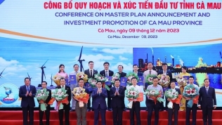 Bamboo Capital sẽ đầu tư vào điện gió, cảng biển và logistic tại Cà Mau?