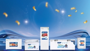 Tủ đông Hòa Phát: Sức chứa rộng rãi, tiết kiệm điện năng