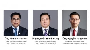 HĐQT BCG: Ông Phạm Minh Tuấn và ông Nguyễn Thanh Hùng là phó chủ tịch điều hành