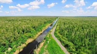 Việt Nam bán thành công tín chỉ carbon rừng, nhận về 51,5 triệu USD