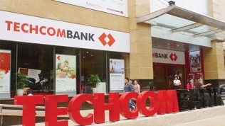 Lãi trước thuế gần 4.000 tỷ, Techcombank vẫn không chia cổ tức