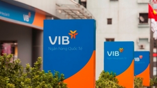 VIB sắp nhận được khoản đầu tư 200 triệu USD từ IFC?