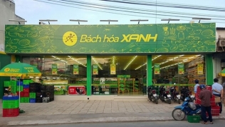 Bách hóa Xanh 'tăng tốc' với 105 siêu thị được mở mới riêng trong tháng 8
