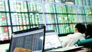 VN-Index vượt mốc 800 nhờ lực đẩy của một vài cổ phiếu blue-chip