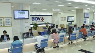 Giá cổ phiếu giảm là tích cực đối với tiến trình tăng vốn của BIDV?