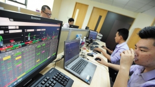 Cổ phiếu vốn hóa lớn tại Việt Nam dưới góc nhìn P/E