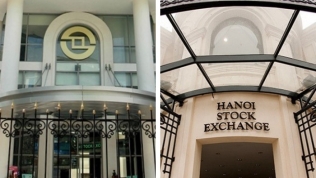 Đề xuất giao HoSE tổ chức thị trường cổ phiếu, HNX tổ chức thị trường chứng khoán phái sinh và trái phiếu