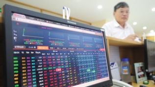 VN-Index tăng gần 11 điểm, thanh khoản 'tụt áp'