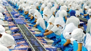 MASVN: Doanh nghiệp xuất khẩu thủy sản và lương thực hưởng lợi từ căng thẳng chính trị