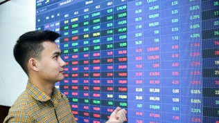 VN-Index hồi phục mạnh về mốc 1.245 điểm, cổ phiếu cao su gây sốt