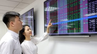 Đường lên mốc 1.300 điểm của VN-Index: Thành bại tại 'cổ phiếu vua'