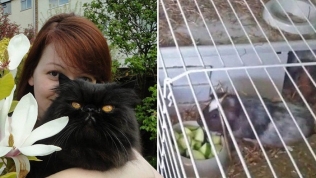 Vụ đầu độc cựu điệp viên Nga: Manh mối '1 con mèo, 2 con chuột'