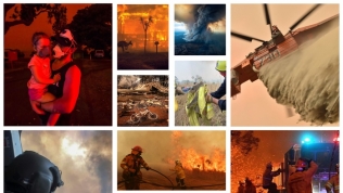 ‘Đại thảm họa’ cháy rừng Australia: 24 người tử vong, 500 triệu động vật bị thiêu cháy