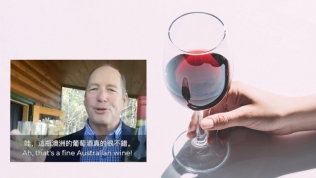 Chính trị gia 19 nước kêu gọi ‘giải cứu’ rượu Australia sau đòn áp thuế của Trung Quốc