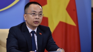 Việt Nam lên tiếng trước thông tin Trung Quốc trồng rau ở Hoàng Sa