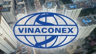 VC9 lỗ kỷ lục, Vinaconex muốn thoái toàn bộ vốn