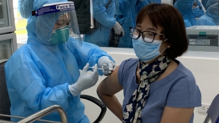 'Doanh nghiệp châu Âu ủng hộ mục tiêu tiêm vaccine Covid-19 cho 75% dân số của Việt Nam'