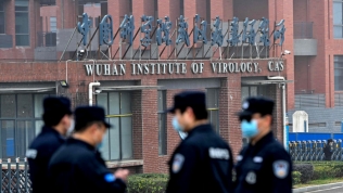 Viện Virus học Vũ Hán tuyên bố không nuôi cấy virus SARS-CoV-2