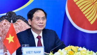 Việt Nam đề nghị dùng 10,5 triệu USD từ Quỹ ASEAN ứng phó Covid-19 để mua vaccine