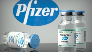 Pfizer cam kết nỗ lực hết sức đẩy nhanh tiến độ giao vaccine Covid-19 cho Việt Nam