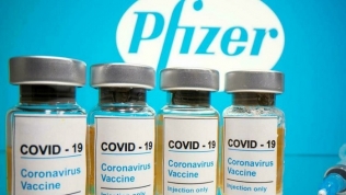 Việt Nam đã ký hợp đồng mua 31 triệu liều vaccine Pfizer, sắp mua thêm 20 triệu liều