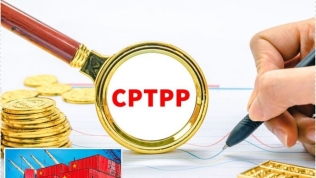 'Gia nhập CPTPP là bước quan trọng để Trung Quốc gia tăng ảnh hưởng kinh tế'