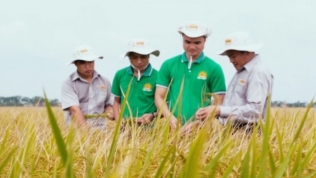 Lộc Trời thành lập 2 công ty thành viên, tài trợ sản xuất 2 triệu tấn lúa trong năm 2022