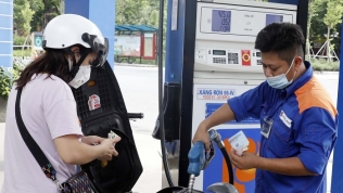 WB: Để hạn chế áp lực lạm phát, Việt Nam nên trợ giá tạm thời cho người lái xe tải