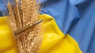Nga ngừng tham gia thỏa thuận ngũ cốc với Ukraine, phương Tây phản ứng gay gắt