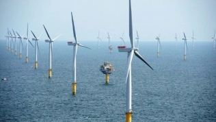 Quảng Trị: Đề xuất bổ sung dự án điện gió ngoài khơi Cồn Cỏ vào quy hoạch điện VIII