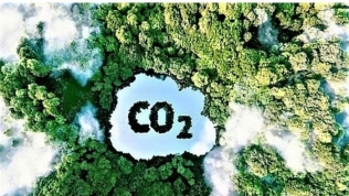 Tổ bảo vệ rừng thôn bản ở Quảng Trị hưởng lợi 51 tỷ từ bán tín chỉ carbon