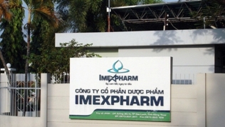 Lũy kế 11 tháng, Dược Imexpharm (IMP) báo lãi tăng 18%, đạt gần 220 tỷ đồng