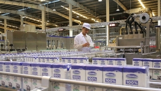 Mộc Châu Milk chào bán gần 40 triệu cổ phần cho GTNFoods và Vinamilk