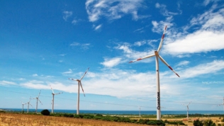 GEG muốn đầu tư hai dự án điện gió ở Tiền Giang và Gia Lai
