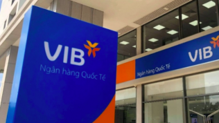 VIB phát hành hơn 440 triệu cổ phiếu thưởng, nâng vốn lên 15.530 tỷ đồng